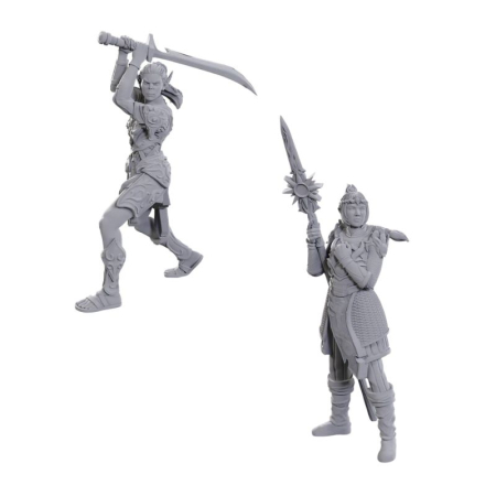 Precomenzi - Lae'zel & Shadowheart - D&D Nolzur's Marvelous Miniatures: Special Edition Baldur's Gate 3