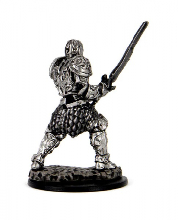 Male Human Fighter - D&D Icons of the Realms Premium Figures (W3) [1]