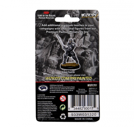 Male Human Fighter - D&D Icons of the Realms Premium Figures (W3) [3]