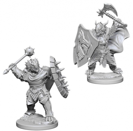 RPG - Male Dragonborn Paladin- Nolzur's Marvelous Unpainted Miniatures