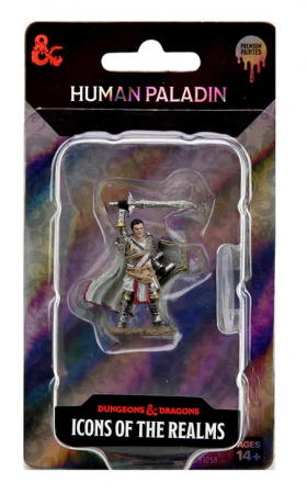 Male Human Paladin - D&D Icons of the Realms Premium Figures (W7) [2]