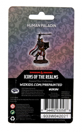 Male Human Paladin - D&D Icons of the Realms Premium Figures (W7) [3]