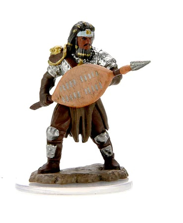 RPG - Male Human Fighter - D&D Icons of the Realms Premium Figures (W7)