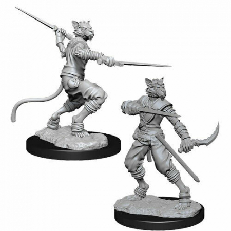 Miniaturi RPG - Male Tabaxi Rogue D&D Nolzur's Marvelous Unpainted Miniatures