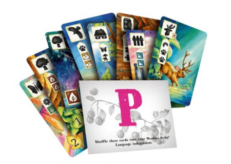 Jocuri de familie - Meadow: Envelope P Promo