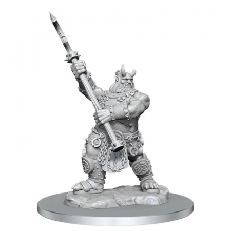 RPG - Oni - Critical Role Unpainted Miniatures (W4)