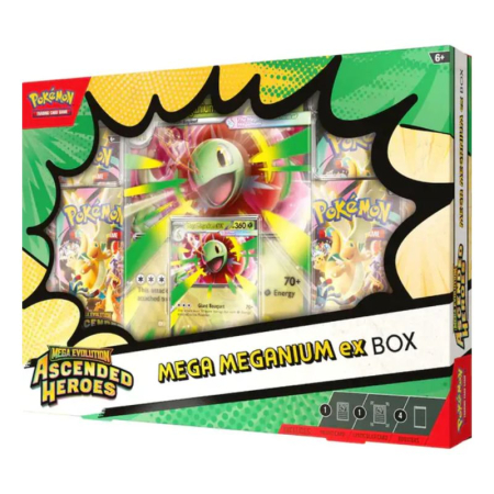 Pokemon - Pokemon - Mega Evolution Ascended Heroes - Mega Meganium ex Box - EN