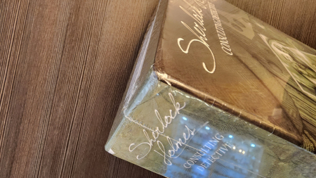 Sherlock Holmes Consulting Detective: Baker Street Irregulars - EN [3]