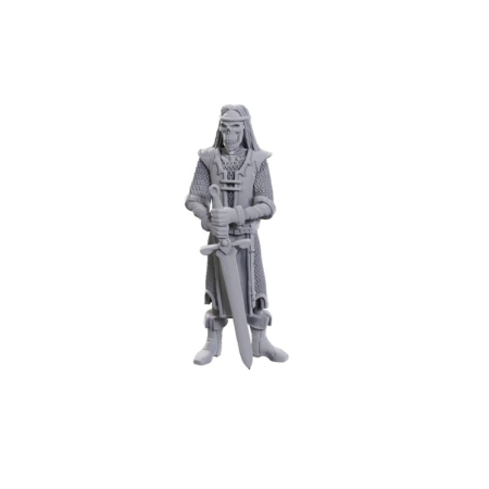 Skeleton Knights - D&D Nolzur's Marvelous Miniatures: Limited Edition 50th Anniversary - EN [1]