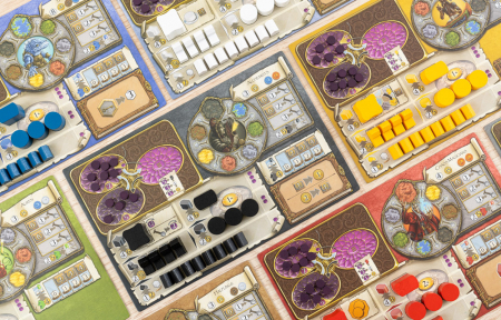 Terra Mystica: Big Box - EN [8]