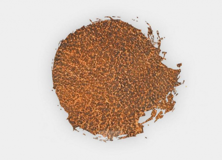 Citadel - Technical: Stirland Mud - GW (27-26) (24 ml) [1]