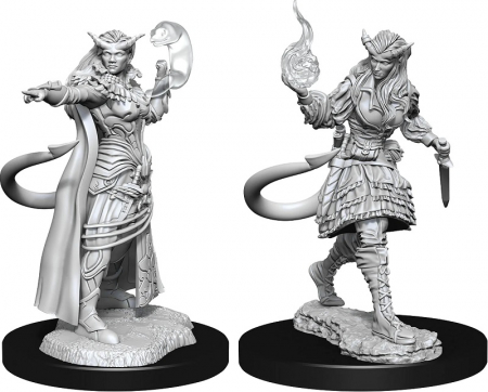 RPG - Tiefling Sorcerer Female - D&D Nolzur's Marvelous Unpainted Miniatures (W15)