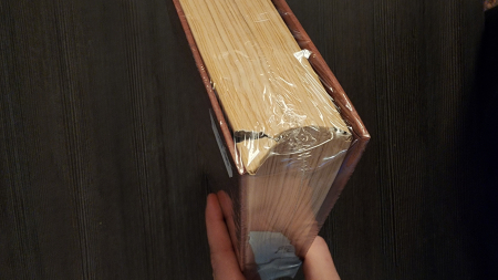 Tortuga 1667 - EN [9]