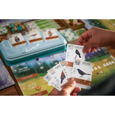 Wingspan 2nd Edition - EN [2]