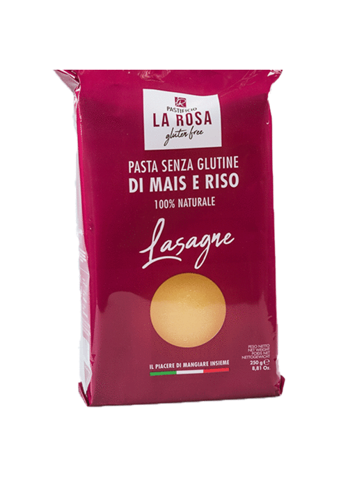 Lasagne [1]
