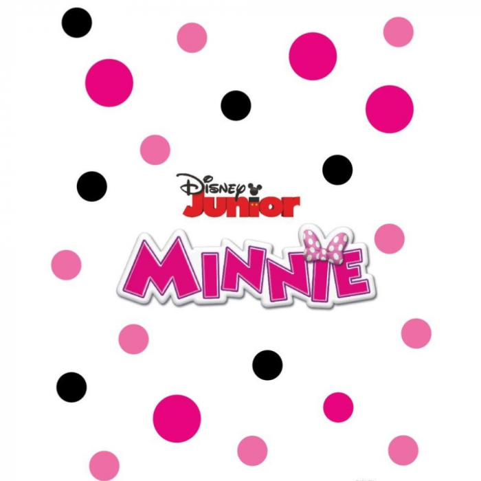 Pictura cu nisip colorat Minnie Mouse & Figaro [3]