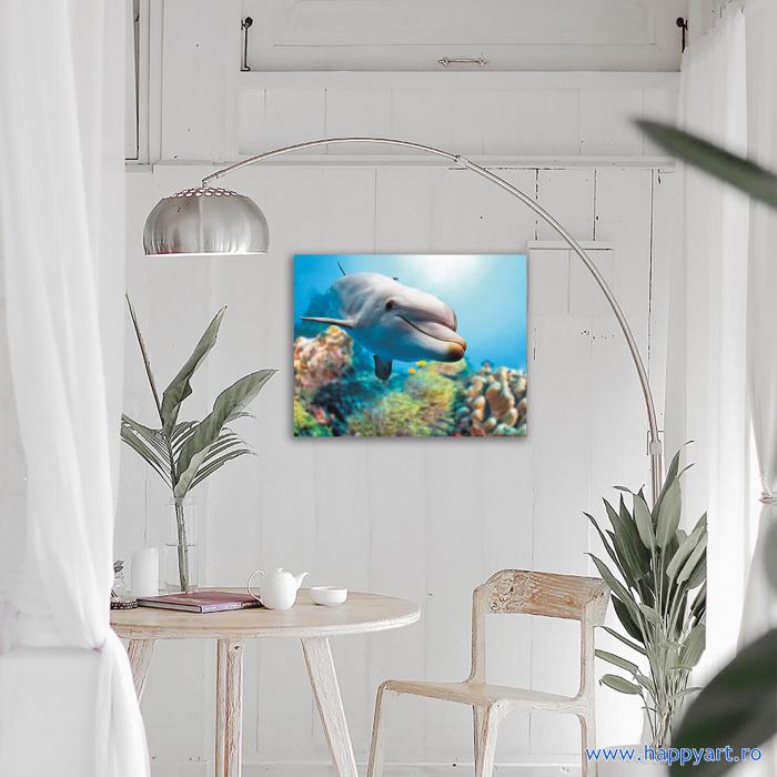 Kit goblen cu diamante, cu sasiu, Delfin zambitor, 40X50 cm, diamante rotunde, 21 culori, nivel avansat, LG222 [5]