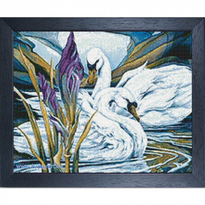Kit goblen cu diamante, fara sasiu, Lebede si irisi, 48X38 cm, diamante patrate, 42 culori, nivel avansat, DE6055 [4]