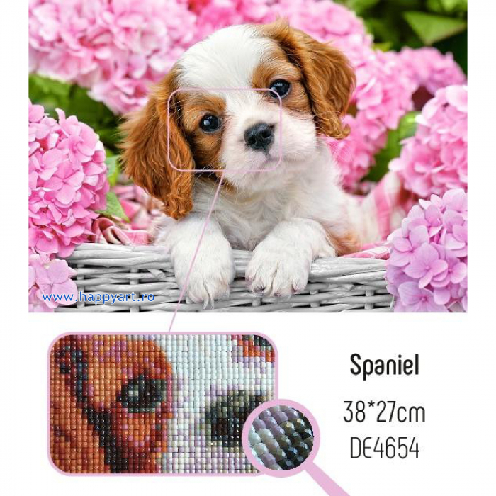 Kit goblen cu diamante, fara sasiu, Cocker spaniel, 38X27 cm, diamante patrate, 32 culori, nivel avansat, DE4654 [2]