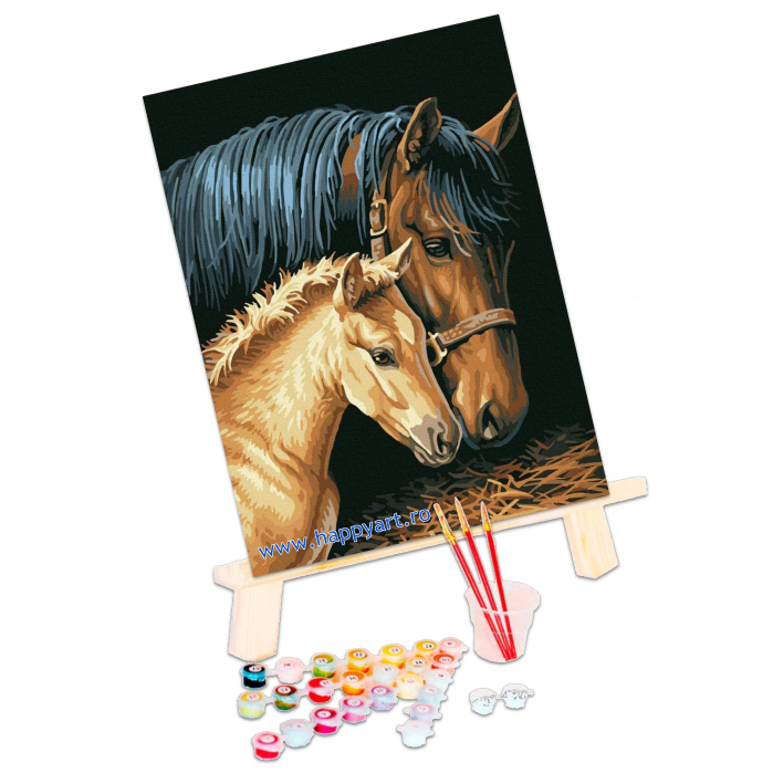 Kit pictura pe numere Grija materna, cu sasiu, 30x40 cm, 16 culori [3]