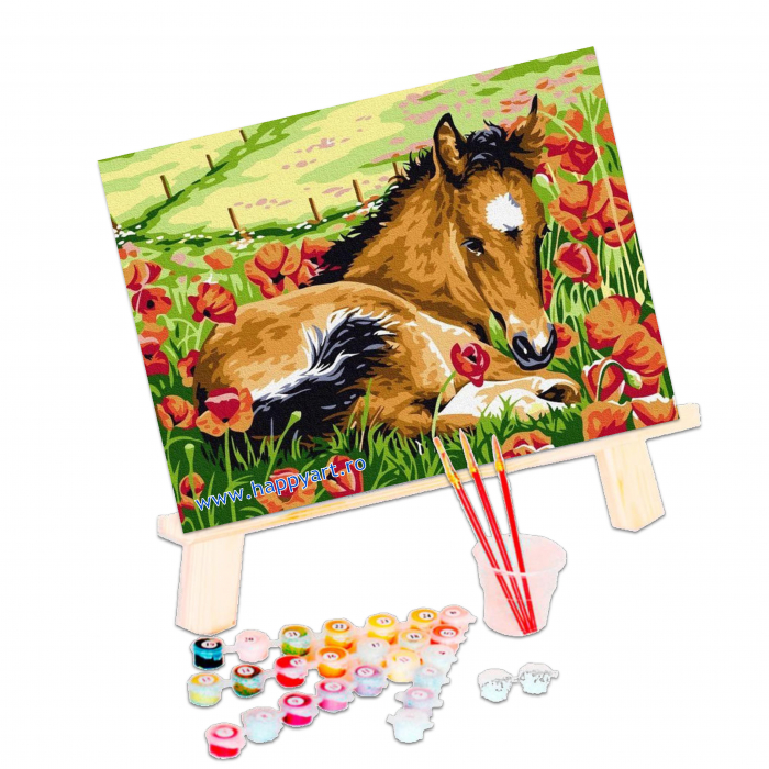 Kit pictura pe numere Calutul si macii, cu sasiu, 30x40 cm, 15 culori [3]