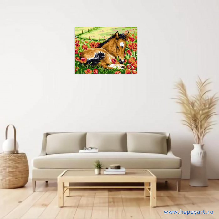 Kit pictura pe numere Calutul si macii, cu sasiu, 30x40 cm, 15 culori [2]