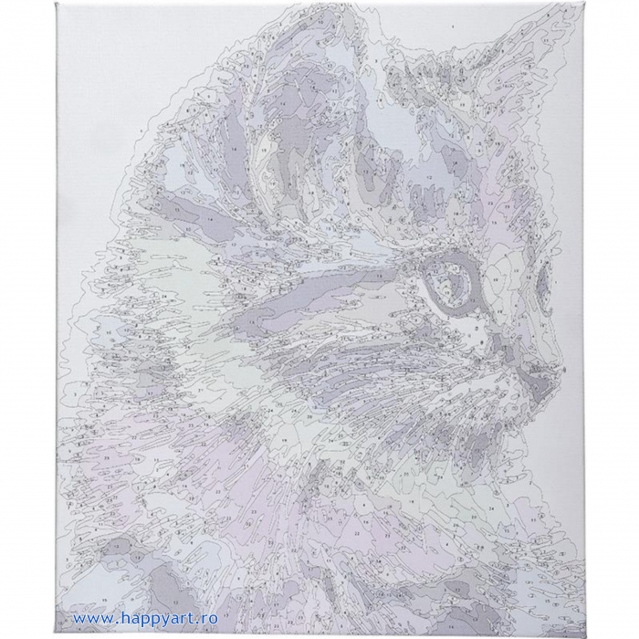 Kit pictura pe numere, cu sasiu, Pisoi colorat, 40X50 cm, 24 culori, nivel avansat, MG2077 [6]