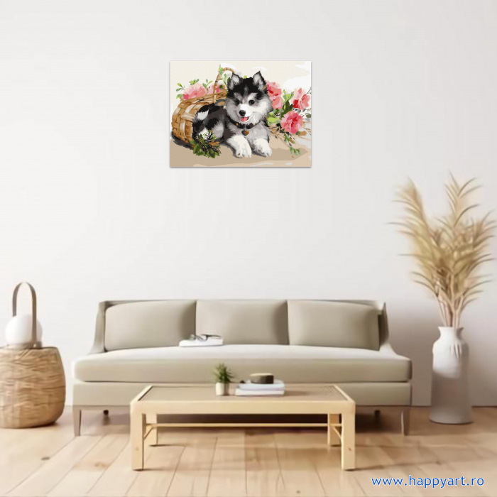 Kit pictura pe numere Catelus Husky, cu sasiu, 30x40 cm, 24 culori [2]