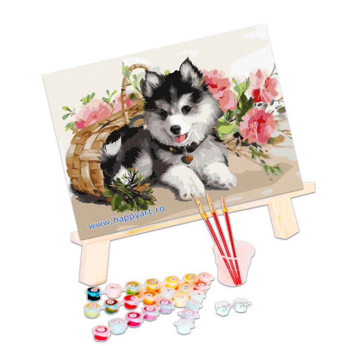 Kit pictura pe numere Catelus Husky, cu sasiu, 30x40 cm, 24 culori [3]