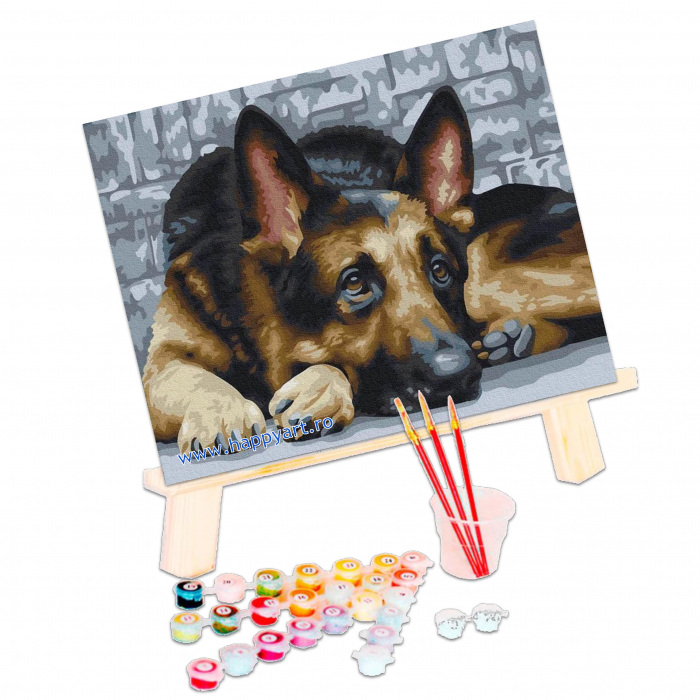 Kit pictura pe numere, Fidelitate, cu sasiu, 50x65 cm, 23 culori [3]