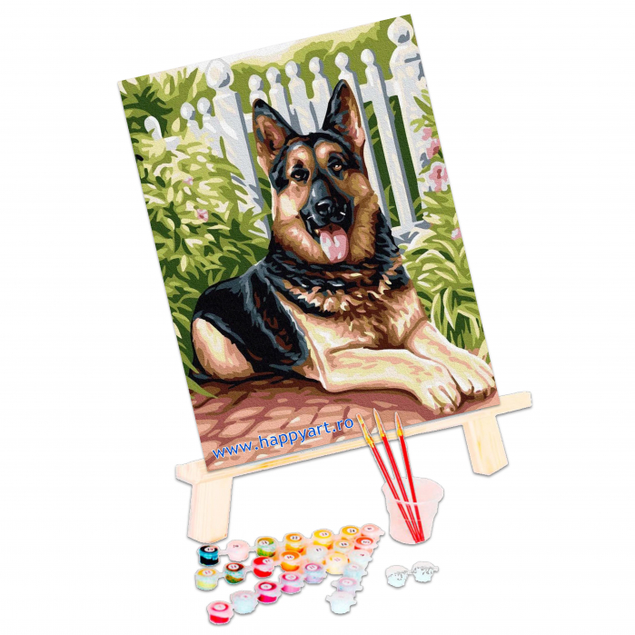 Kit pictura pe numere Prieten bun, cu sasiu, 30x40 cm, 19 culori, PC3040037 [3]