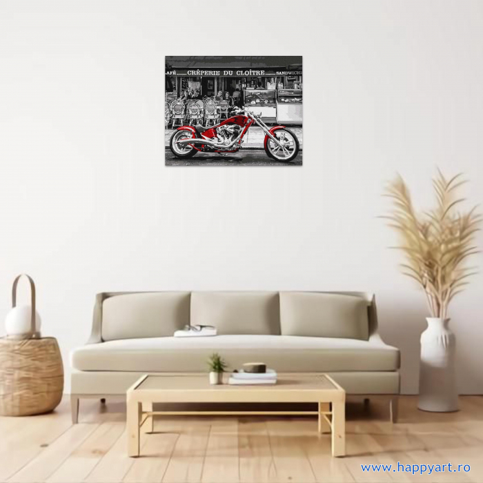 Kit pictura pe numere Motocicleta rosie, cu sasiu, 40X50 cm, 16 culori [2]