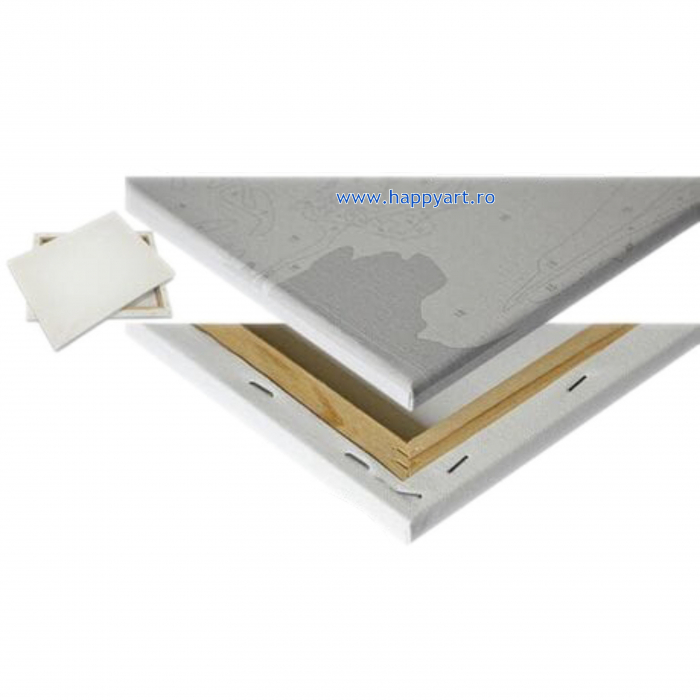 Kit pictura pe numere Cai in galop, cu sasiu, 50x65 cm, 28 culori [5]