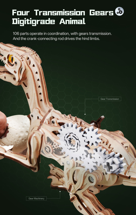 Puzzle 3D, mecanic, Velociraptor, lemn, 189 piese [4]