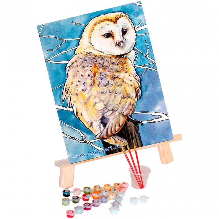 Kit pictura pe numere, cu sasiu, Bufnita de hambar, 30X40 cm, 22 culori, nivel avansat, ME1124 [2]