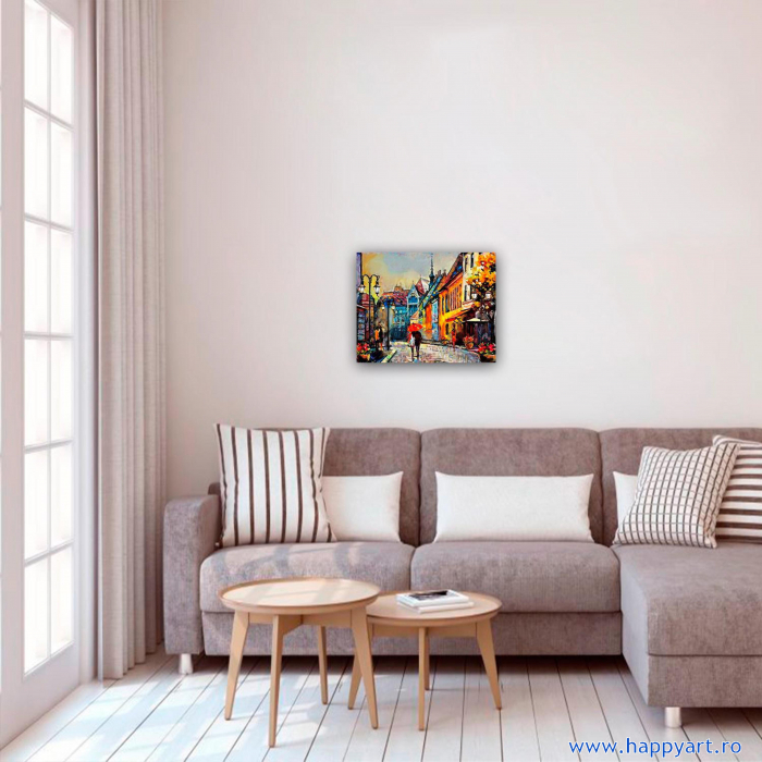 Set pictura pe numere, cu sasiu, Oras European, 40x50 cm, 24 culori [3]
