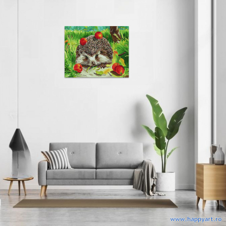 Kit goblen cu diamante Arici in padure, cu sasiu, 40X50 cm, 35 culori [1]