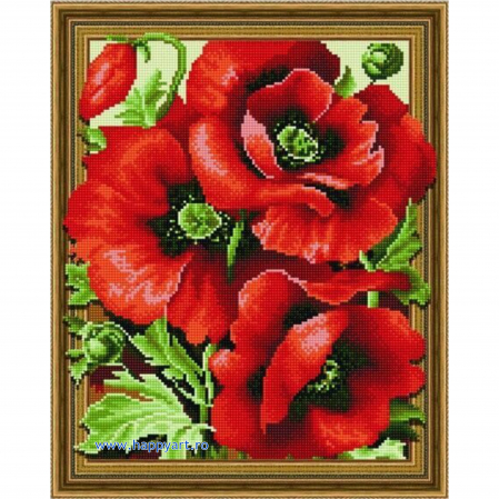Goblenuri cu diamante - Kit goblen cu diamante Maci de vara, cu sasiu, 40X50 cm, diamante rotunde, 22 culori