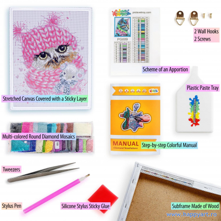 Kit goblen cu diamante, cu sasiu, Bufnita iarna, 40X50 cm, diamante rotunde, 18 culori, nivel avansat, LG208 [1]