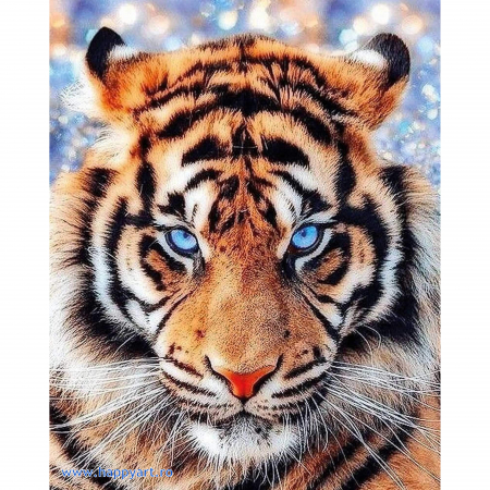Goblenuri cu diamante - Kit goblen cu diamante, cu sasiu, The look of tiger, 40X50 cm, diamante rotunde, 31 culori, nivel avansat, LG297