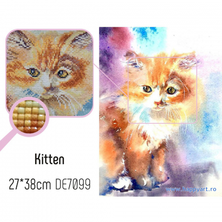 Kit goblen cu diamante, fara sasiu, Pisoias colorat, 27X38 cm, diamante patrate, 50 culori, nivel avansat, DE7099 [1]