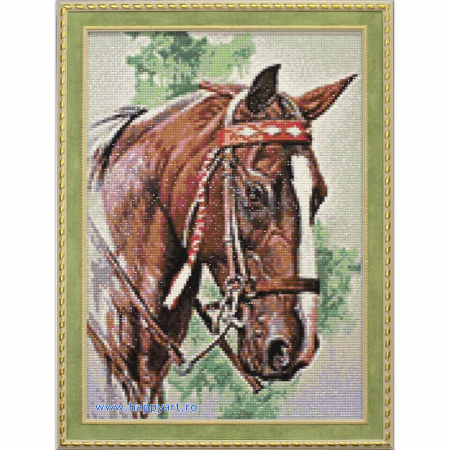 Kit goblen cu diamante, fara sasiu, Cal indian, 27X38 cm, diamante patrate, nivel avansat, DE080 [3]