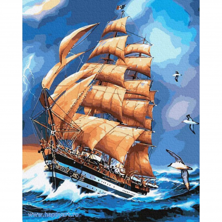 Picturi pe numere peisaje - Kit pictura pe numere Corabia si pescarusii, cu sasiu, 40X50 cm, 26 culori