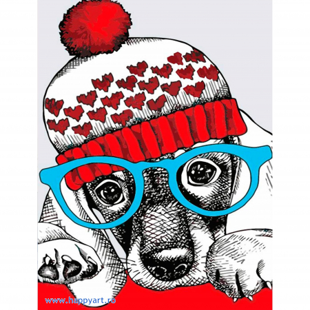Picturi pe numere animale - Kit pictura pe numere, cu sasiu, Catelus la moda, 20X30 cm, 23 culori, nivel avansat, MC1079