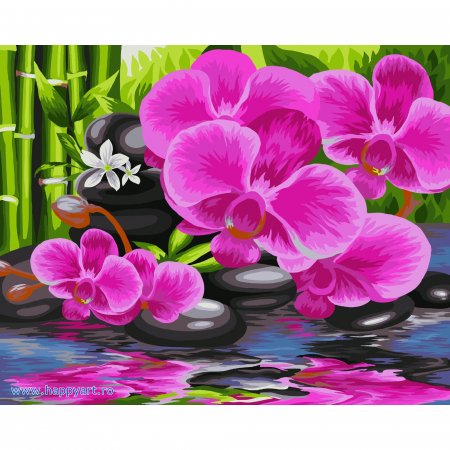 Picturi pe numere flori - Kit pictura pe numere, cu sasiu, Orhidee zen, 40X50 cm, 24 culori, nivel mediu, B081