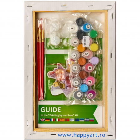 Kit pictura pe numere, cu sasiu, Intalnire, 40X50 cm, 30 culori, nivel avansat, MG2203 [5]