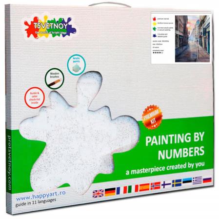 Kit pictura pe numere, cu sasiu, Straduta, 40X50 cm, 24 culori, nivel avansat, MG2083 [4]