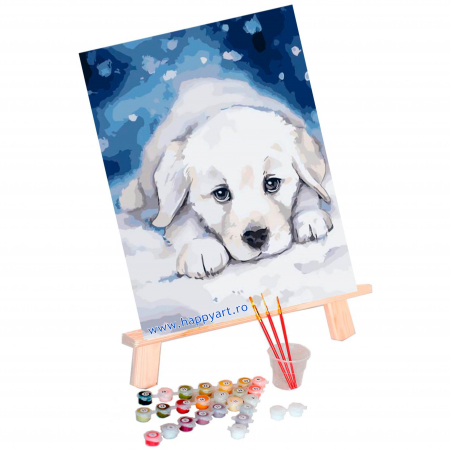Kit pictura pe numere, cu sasiu, Fericire, 40X50 cm, 25 culori, nivel avansat, MG2084 [1]