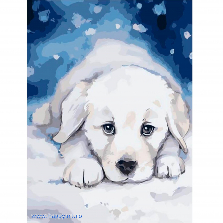 Picturi pe numere animale - Kit pictura pe numere, cu sasiu, Fericire, 40X50 cm, 25 culori, nivel avansat, MG2084