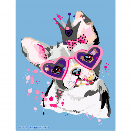 Picturi pe numere animale - Kit pictura pe numere, cu sasiu, Catelus dragut, 30X40 cm, 19 culori, nivel mediu, ME1115